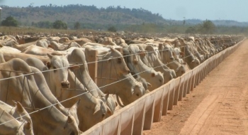 PIB de Goiás cresce quatro vezes mais que o do Brasil